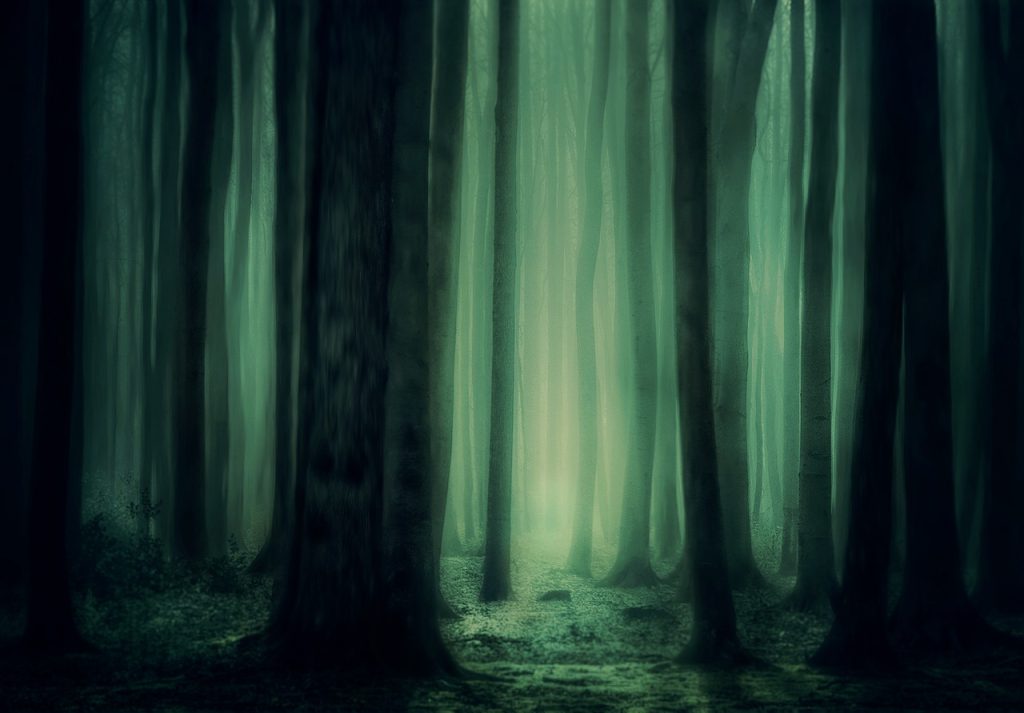 Arti Mimpi Hutan